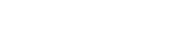 E-Sistem
